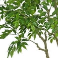 thumbnail image 3 of Faux 8' Deluxe Ficus Tree in Oversized Cream Pot, 3 of 6