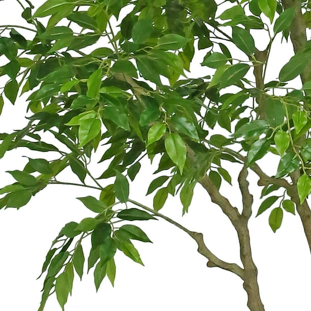 フィカス アルテシマ 137cm８号 S-shaped tree form Faux 8' Deluxe Ficus Tree in Oversized Cream Pot - Samsclub.com