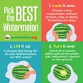 thumbnail image 6 of Whole Seedless Watermelon, 6 of 6