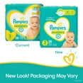 thumbnail image 10 of Pampers Swaddlers Diapers (Choose Your Size), 10 of 10