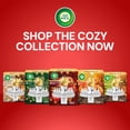 thumbnail image 9 of Air Wick Plug In Scented Oil Air Freshener, Holiday Apple Cinnamon Medley, 1 Warmer + 6 Refills, 9 of 9