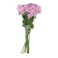 thumbnail image 2 of Member's Mark Pompon Daisies, 90 stems (Choose color), 2 of 4