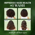 thumbnail image 6 of Herbal Essences Argan Oil & Green Tea Shampoo, 33.8 fl. oz., 6 of 10