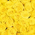 thumbnail image 7 of Member's Mark Rose Vase Arrangement, 100 stems, choose color, 7 of 8