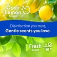 thumbnail image 8 of Clorox Disinfecting Cleaning Wipes, Bleach Free, Fresh Scent and Crisp Lemon, 5 pk., 425 Wipes Total, 8 of 11