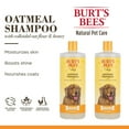thumbnail image 2 of Burt's Bees, Oatmeal Dog Shampoo, 32 fl. oz., 2 pk., 2 of 8