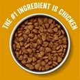 thumbnail image 6 of Member's Mark Grain Free Chicken and Vegetable Recipe, High Protein Dry Dog Food, 28 lbs., 6 of 8