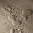 thumbnail image 4 of Select Surfaces Silver Spring SpillDefense Laminate Flooring, 4 of 11