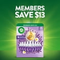 thumbnail image 3 of Air Wick Plug In Essential Oil Air Freshener Refills, Lavender & Chamomile, 9 refills, 3 of 11