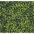 thumbnail image 1 of Select Surfaces Artificial Hedge Panels, 2-Pack, Choose Type, 1 of 7