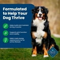 thumbnail image 5 of Blue Life Protection Formula Lamb & Rice, Adult Dry Dog Food, 36 lbs., 5 of 10