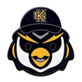 thumbnail image 1 of Logo Brands Kennesaw State Owls Puff Pillow, 1 of 5