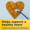 thumbnail image 2 of Nature Made Burp-Less Fish Oil 1200 mg Softgels, 240 ct., 2 of 10
