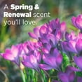 thumbnail image 5 of Tide Power PODS Laundry Detergent Pacs + Febreze Odor Eliminators, Spring & Renewal Scent (72 ct.), 5 of 7
