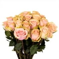 thumbnail image 4 of Member's Mark Roses, choose color variety and stem count, 4 of 9