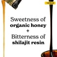 thumbnail image 3 of BetterAlt Shi-Lajit Honeysticks, 45 ct., 3 of 10