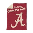 thumbnail image 1 of Logo Brands Alabama Crimson Tide Luxe Dreams Throw, 60" x 80", 1 of 6