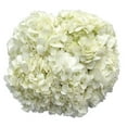 thumbnail image 5 of Member's Mark Hydrangeas, choose color and stem count, 5 of 5