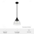 thumbnail image 5 of Hunter Cypress Grove with Clear Holophane Glass 1 Light Pendant Ceiling Light Fixture, 5 of 8