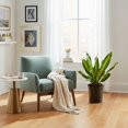 thumbnail image 3 of Costa Farms 10" Basic Foliage Plant in Grower Pot, 3 of 9