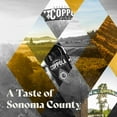 thumbnail image 7 of Francis Coppola Diamond Collection Claret, 750 ml, 7 of 9
