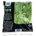 thumbnail image 2 of Lechuga Del Pais 24 oz., 2 of 2