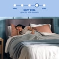 thumbnail image 2 of Sealy 12" Medium Memory Foam Mattress, 2 of 10