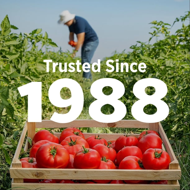 Hunt's Fire Roasted Diced Tomatoes, 14.5 oz., 8 pk. - Samsclub.com