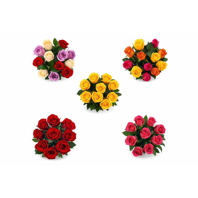 Member's Mark Dozen Roses, color and variety may vary - Samsclub.com