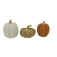 thumbnail image 2 of Member's Mark Flocked Pumpkins, Set of 3, 2 of 4