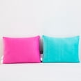 thumbnail image 4 of Kids Licensed 2-Pack Cloud Plush Pillow Set, 20" x 26", 4 of 8