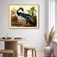 thumbnail image 3 of Louisiana Heron Traditional Canvas Print by Oliver Gal Prints, 3 of 4
