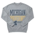 thumbnail image 5 of Champion NCAA Grey Crewneck Sweatshirt, 5 of 6