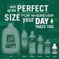 thumbnail image 4 of Poland Spring 100% Natural Spring Water, 8 fl. oz., 48 pk., 4 of 11