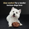 thumbnail image 4 of Cesar Filets in Gravy Wet Dog Food Steak and Poultry Variety Pack, 3.5 oz., 48 ct., 4 of 9