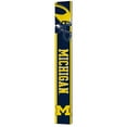 thumbnail image 1 of NCAA 8" x 60" Reversible Porch Greeter Sign, 1 of 5