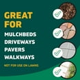 thumbnail image 7 of Spruce Snap & Spray Weed & Grass Killer Powered Starter Kit + EZ AIM, 74 oz, 7 of 9