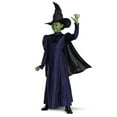 thumbnail image 1 of Wicked Elphaba Kids Deluxe Costume, 1 of 8