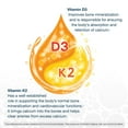 thumbnail image 5 of Youtheory K2D3 Zero Sugar Gummies, 120 ct., 5 of 7
