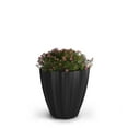 thumbnail image 2 of Mayne Sedona 18" Round Planter, 2 of 6