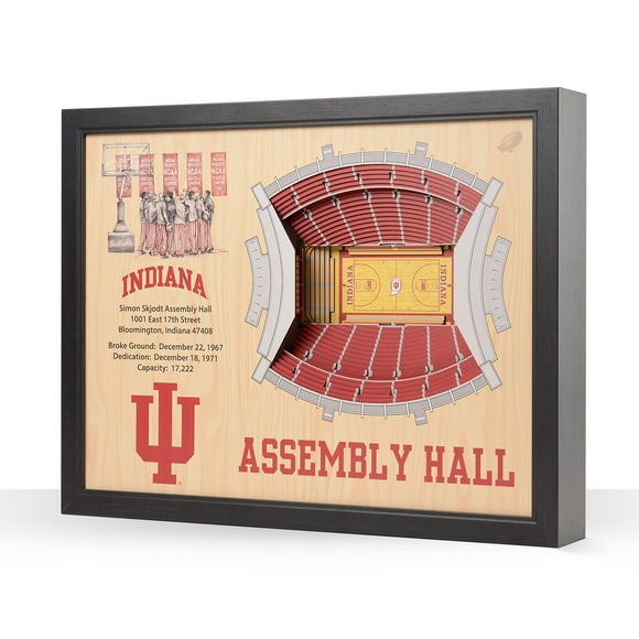 YouTheFan Indiana Hoosiers 25-Layer Basketball Stadium View 3D Wall Art
