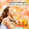 thumbnail image 4 of Air Wick Scented Oil Air Freshener, Warmer + 6 Refills (Choose Your Scent), 4 of 8