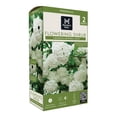 thumbnail image 1 of Member's Mark Viburnum Snowball Bush Dormant Bulbs, 2pk, 1 of 8