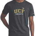thumbnail image 4 of Champion NCAA Men's Short Sleeve Tee, 4 of 6
