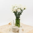 thumbnail image 4 of Member's Mark Carnations, Assorted, color and variety may vary, 4 of 5