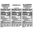 thumbnail image 2 of Canada Dry Winter Variety Pack 12 fl. oz., 36 pk., 2 of 6