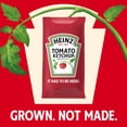 thumbnail image 5 of Heinz Tomato Ketchup Single-Serve Packets, 1000 ct., 5 of 11