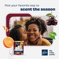 thumbnail image 7 of Glade PlugIns Scented Oil Air Freshener, Brandied Cherry, 4.02 fl. oz., 2 Warmers + 6 Refills, 7 of 8