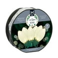 thumbnail image 6 of Member's Mark 50ct LED C9 Lights, 21' Lighted Length, Assorted Colors, 6 of 7