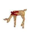 thumbnail image 5 of Member's Mark 3-Piece Pre-Lit Animated Deer Family, 5 of 6